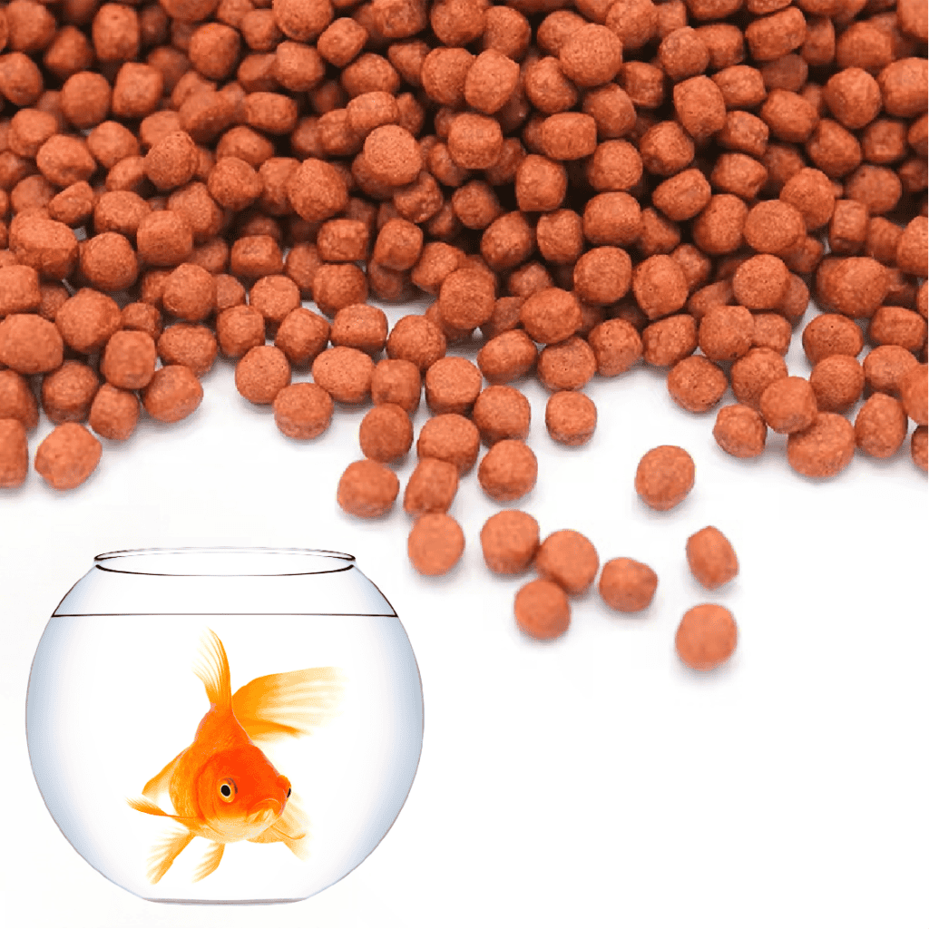 Máquina de pellets para alimento para peces, comprar máquina de pellets para alimento para peces, cómo operar una máquina de pellets, operación de la máquina de pellets para alimento para peces, proceso de peletización, producción de alimento acuícola, puesta en marcha de la máquina de pellets.