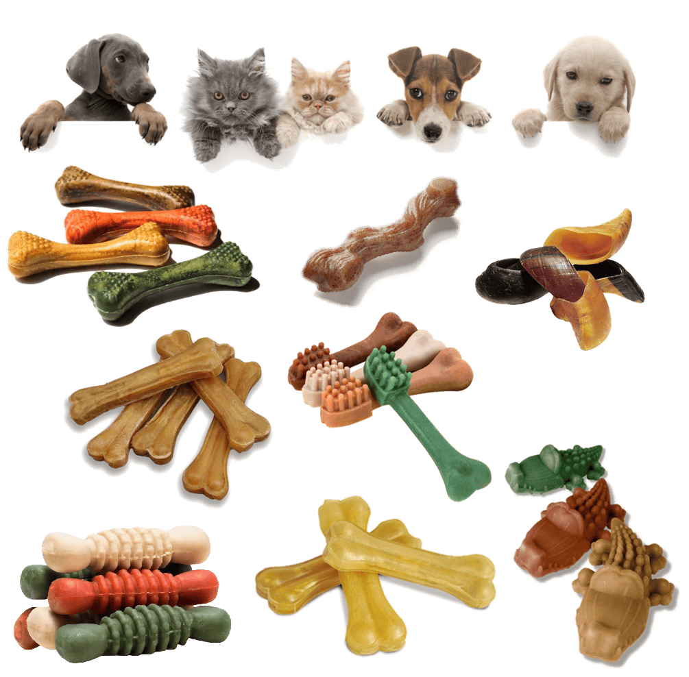 Pet Treats Moulding Machine,Dog Treats Moulding Machine,pet food Machine