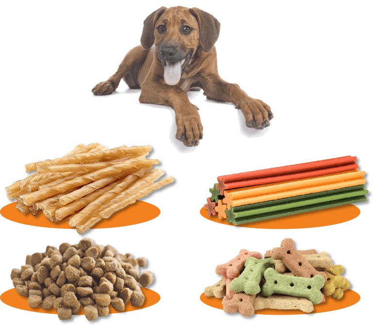 Pet Treat Mini Lab Extruder,pet food extruder,mini lab pet food extruder,small-scale extrusion machine,extrusion machine