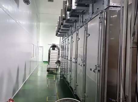 high capacity core filled pet snack production line today. (1)